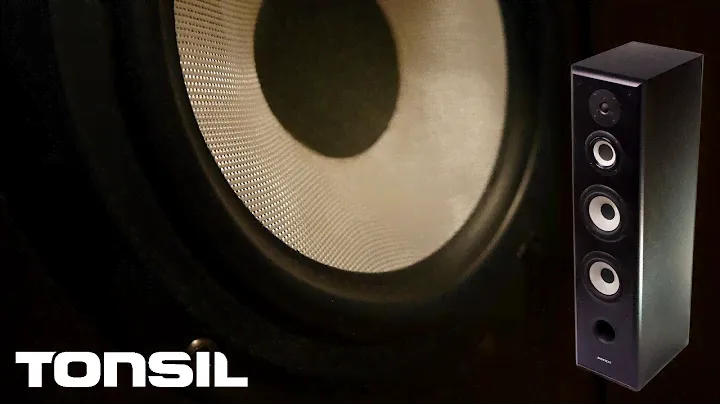 Tonsil Maestro S - Recenzja kolumn głośnikowych Made in Poland
